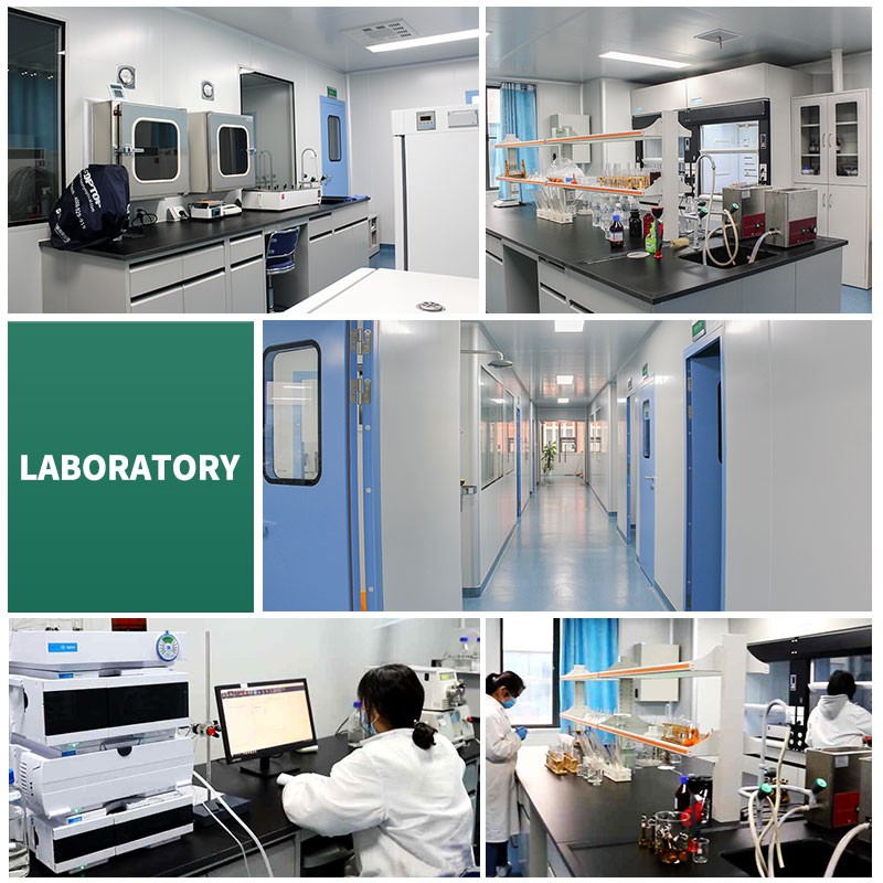 Beetroot Extract Manufacturer - Betanin E50 4% Natural Colorant