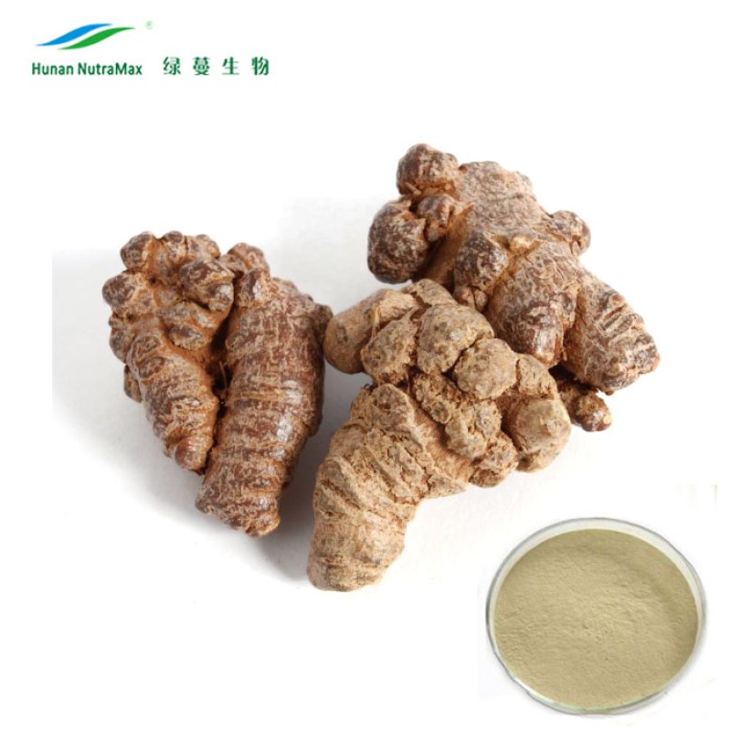 Panax Notoginseng Powder Manufacturer - Tienchi Ginseng Root Powder