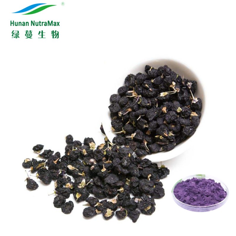 Black Wolfberry Extract Factory - 10% Anthocyanidins Goji Berry