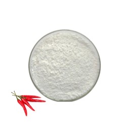 Capsicum Extract Powder Manufacturer - 1% Capsaicin CAS 404-86-4