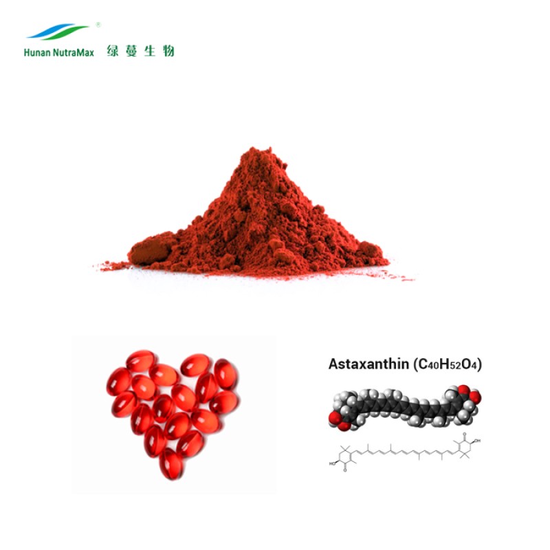 Astaxanthin Powder Manufacturer - 100% Pure Bulk Antioxidants