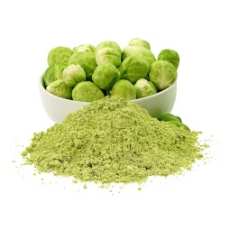 Brussels Sprout Powder Supplier - Water Soluble Juice Powder