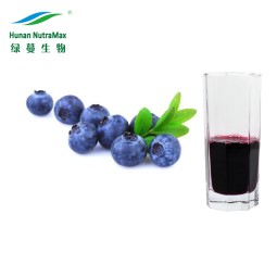 Blueberry Powder Supplier - Freeze Dried Juice Powder Drink