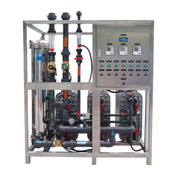 EDI System Supplier - 1000L/H 220V Pump PLC Motor