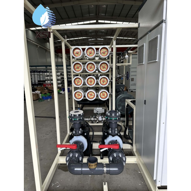 RO Water Filter Machine Supplier - 2000LPH Double Pass System
