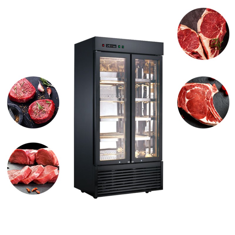 Refrigerator Manufacturer - Meat Beef Drying 2 Door
