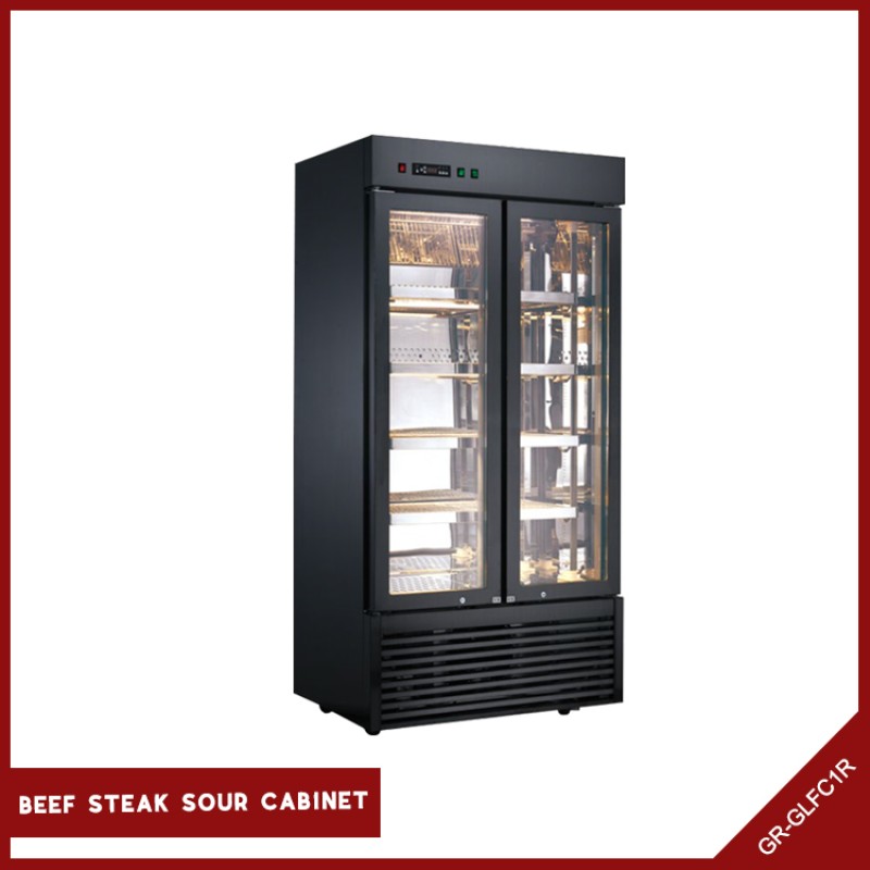 Refrigerator Manufacturer - Meat Beef Drying 2 Door