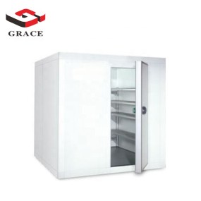 Cold Storage Supplier - GRACE Commercial Walk-in Freezer