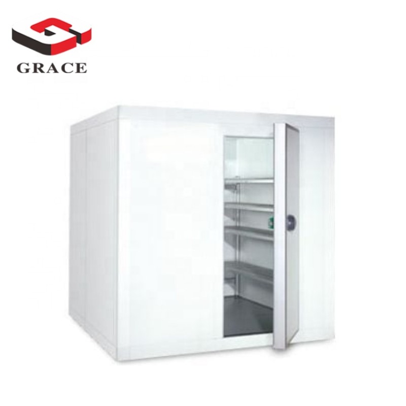 Cold Storage Supplier - GRACE Commercial Walk-in Freezer