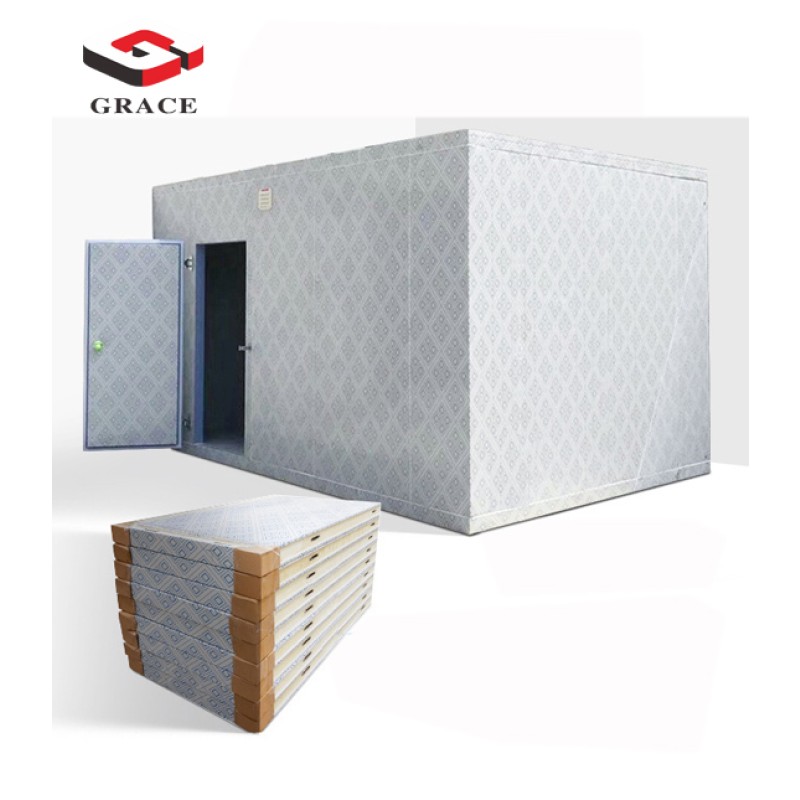Cold Storage Supplier - GRACE Commercial Walk-in Freezer