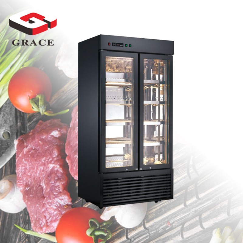 Refrigerator Manufacturer - Meat Beef Drying 2 Door