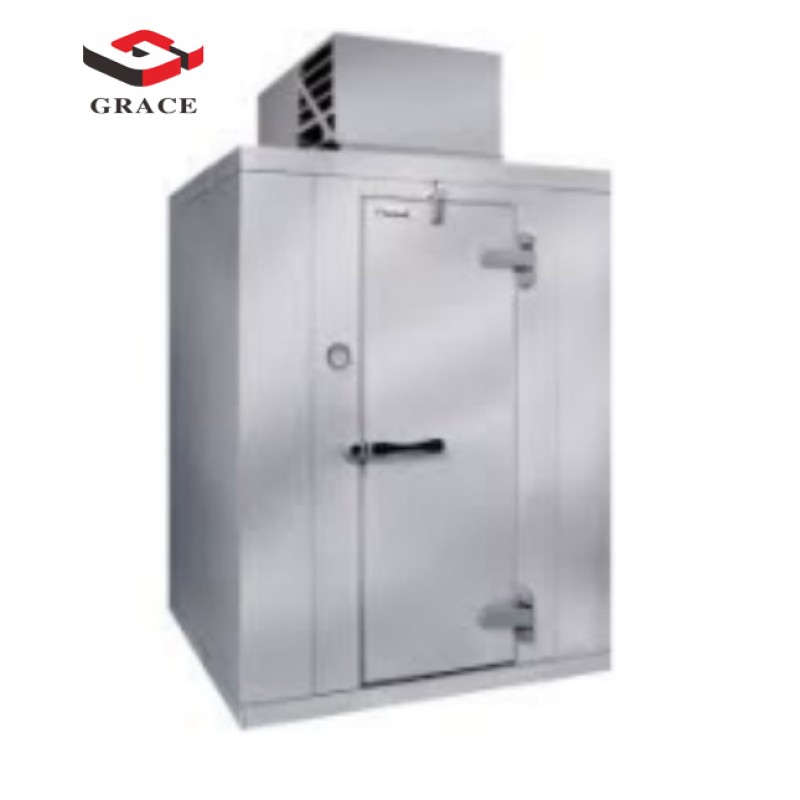 Cold Storage Supplier - GRACE Commercial Walk-in Freezer