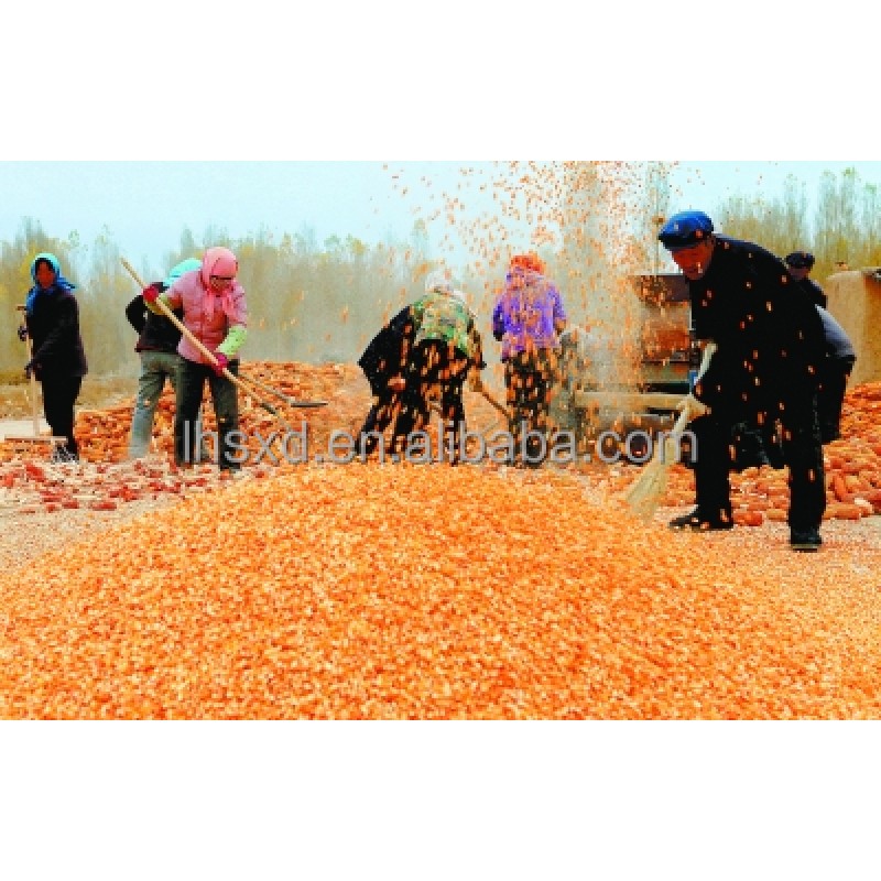 Corn Sheller Factory - Electric Farm Maize Thresher