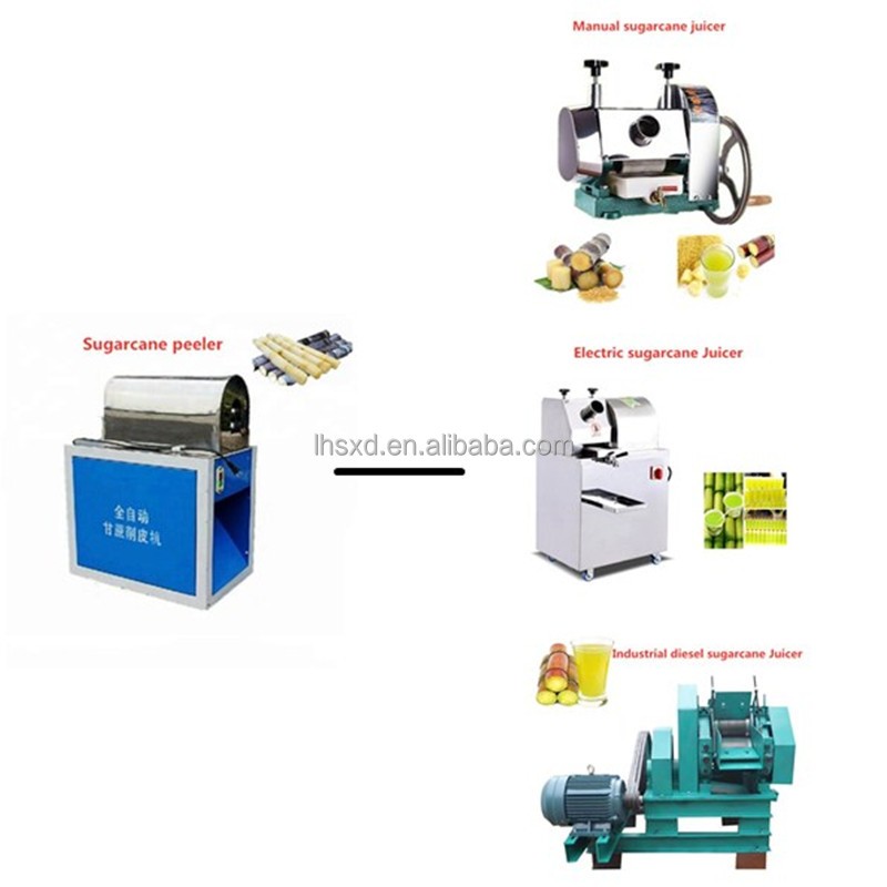 Meat Cutting Machine Supplier - Cube Diced Frozen Meat