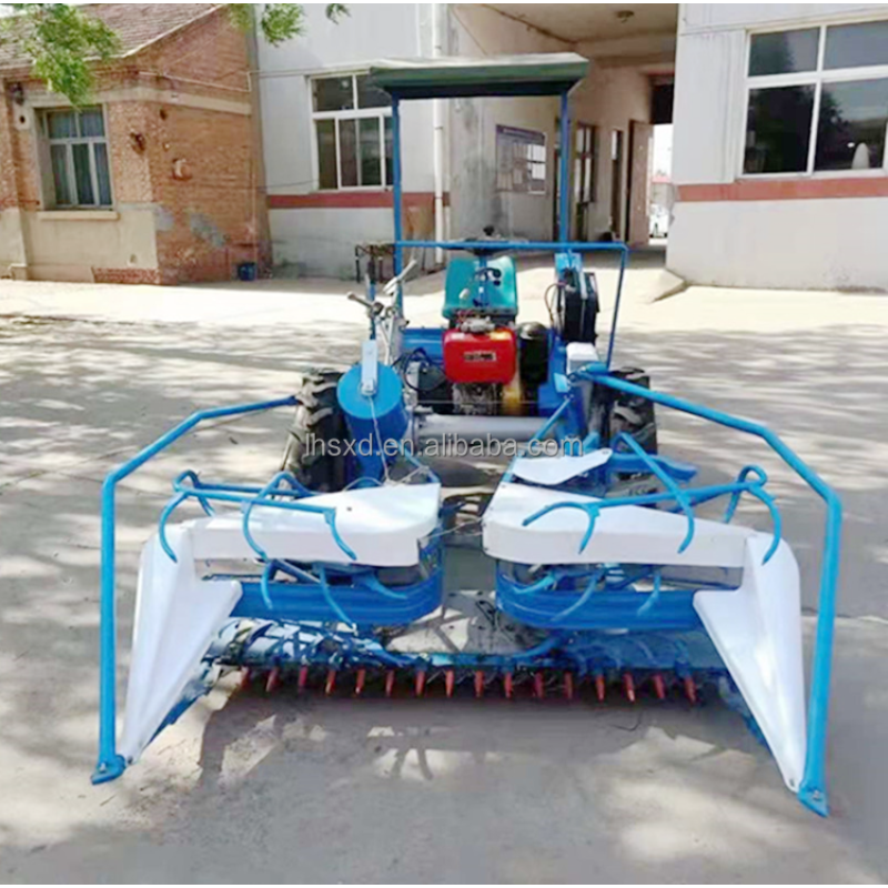 Reed Harvesting Machine Supplier - Automatic Bundling Combine