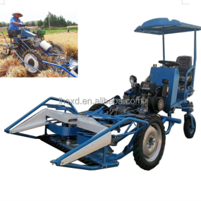 Reed Harvesting Machine Supplier - Automatic Bundling Combine