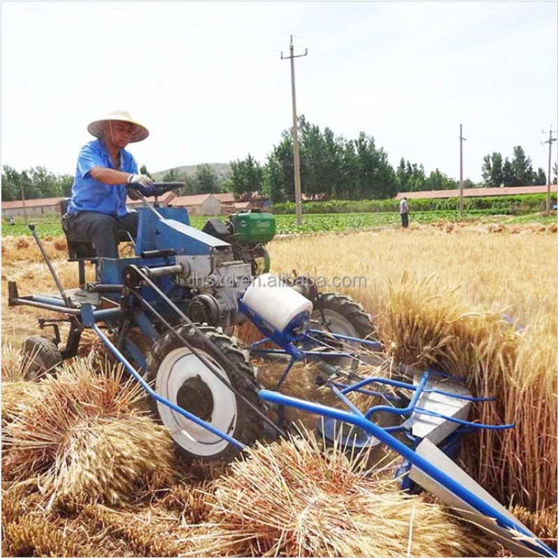 Reed Harvesting Machine Supplier - Automatic Bundling Combine