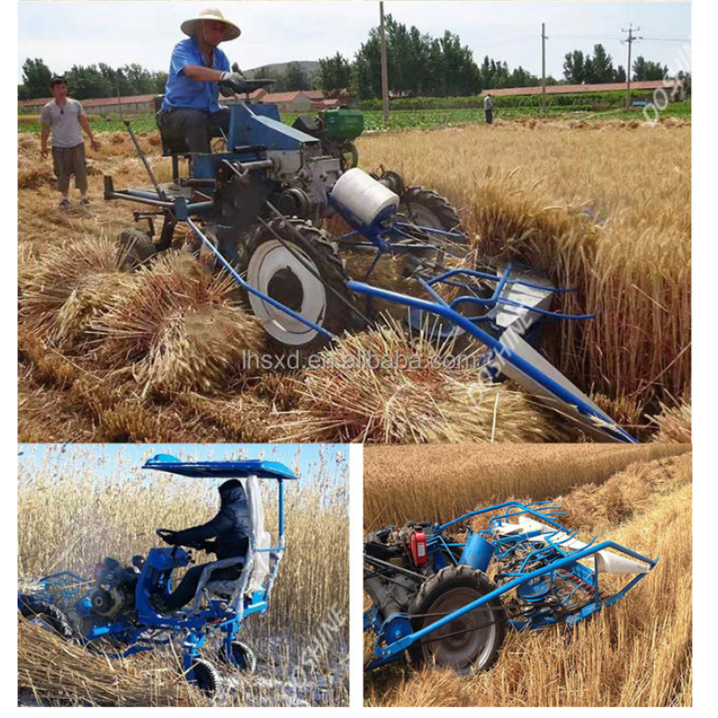Reed Harvesting Machine Supplier - Automatic Bundling Combine