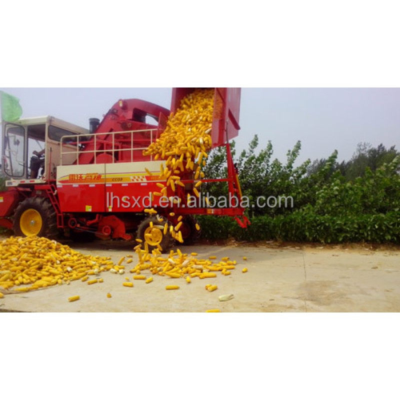 Freeze Dryer Machine Factory - Fruit Food Vegetable