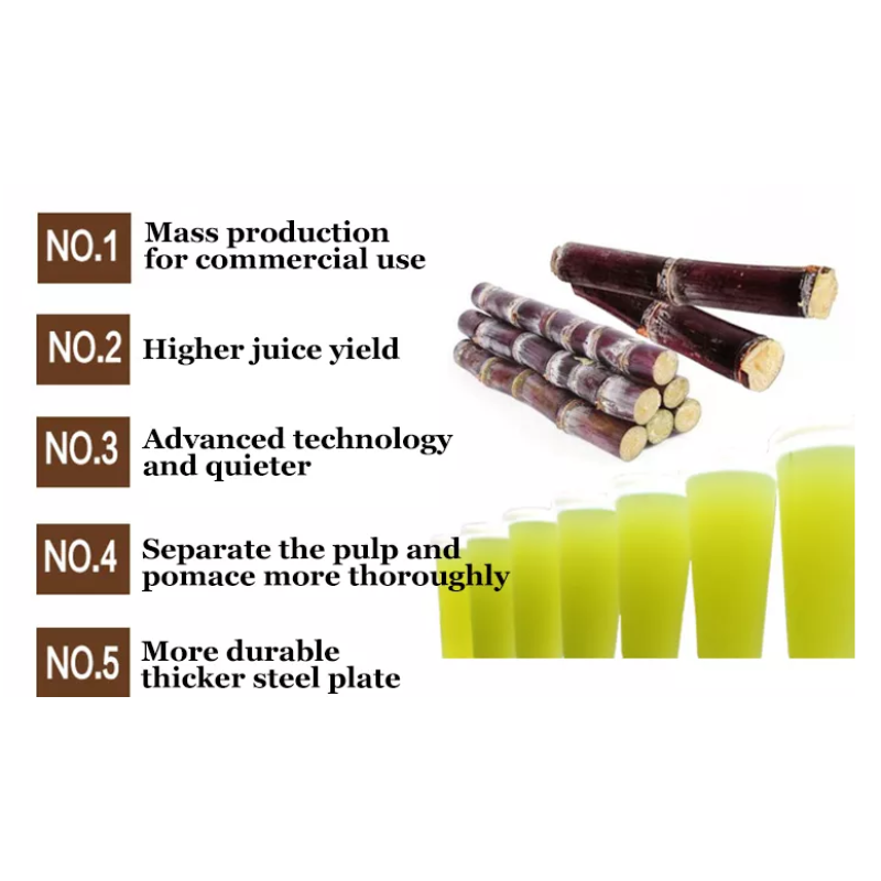 Sugar Cane Mill Manufacturer - 1000kg/h Factory Price Milling