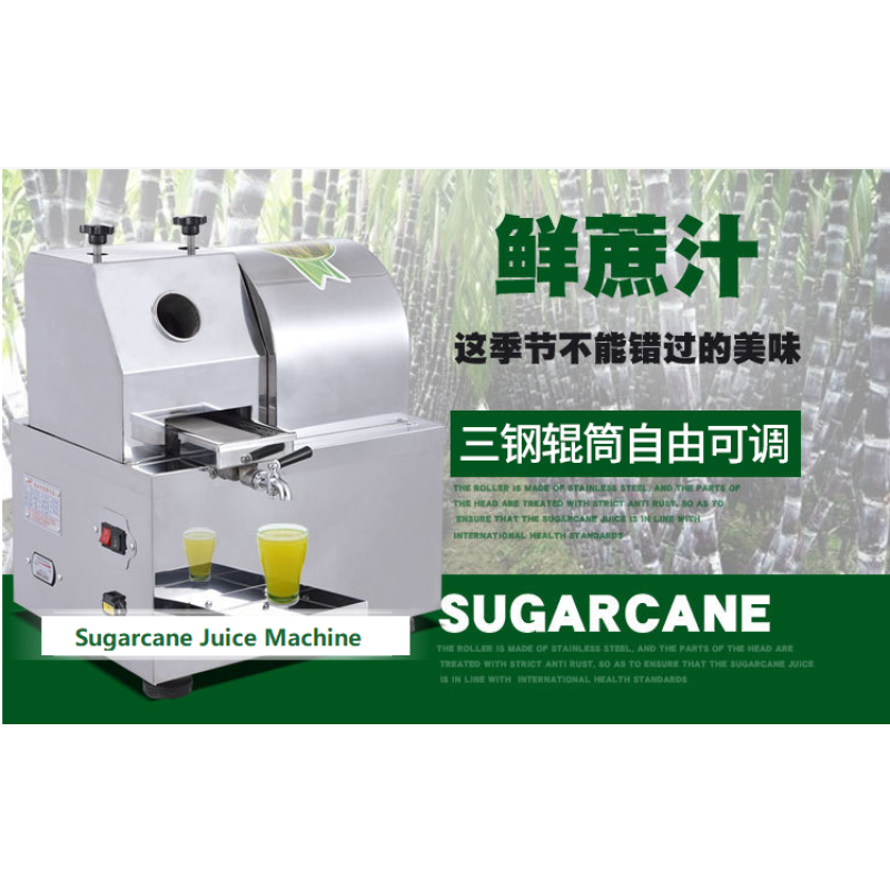 Tabletop Juicer Supplier - Industrial Automatic 350W Motorized