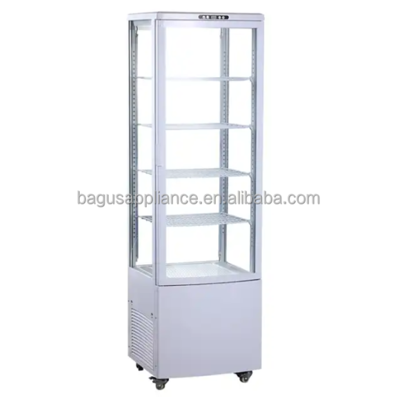 Commercial Refrigerator Manufacturer - 235L Stainless Steel LED