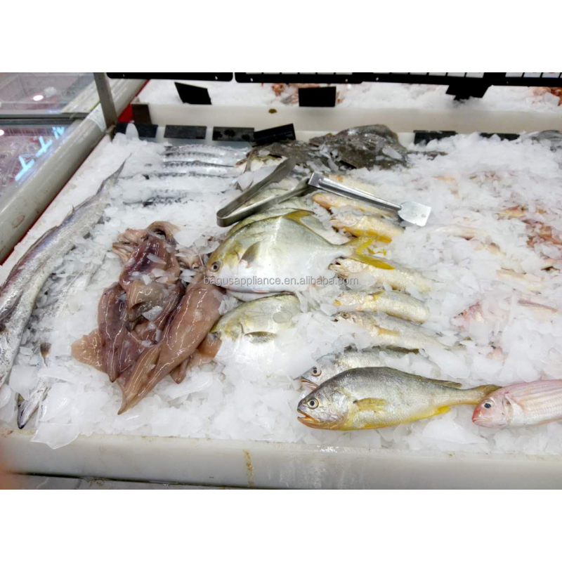 Flake Ice Maker Manufacturer - 200-500kg Hot Sales Commercial