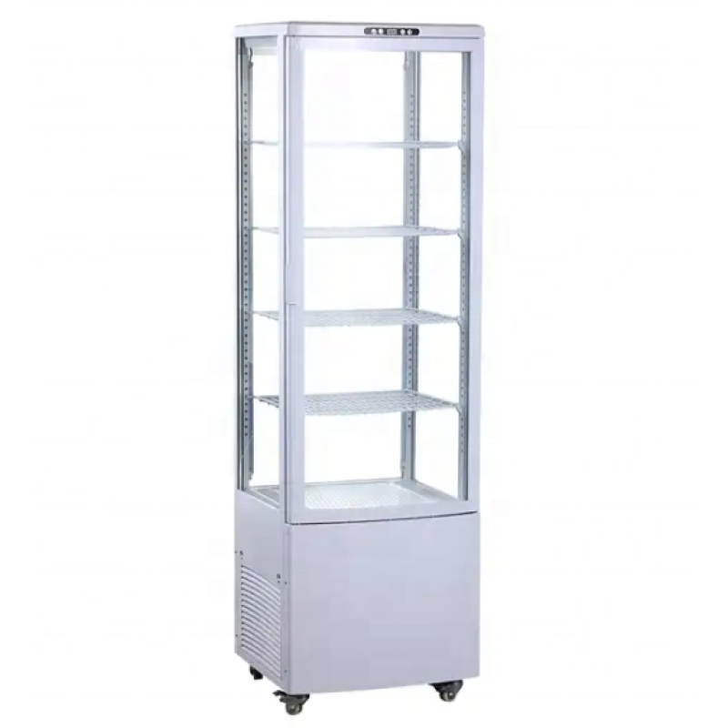 Drink Showcase Supplier - 235L Factory Direct Glass Door