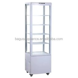 Beverage Cooler Factory - 235L Quality Upright Display