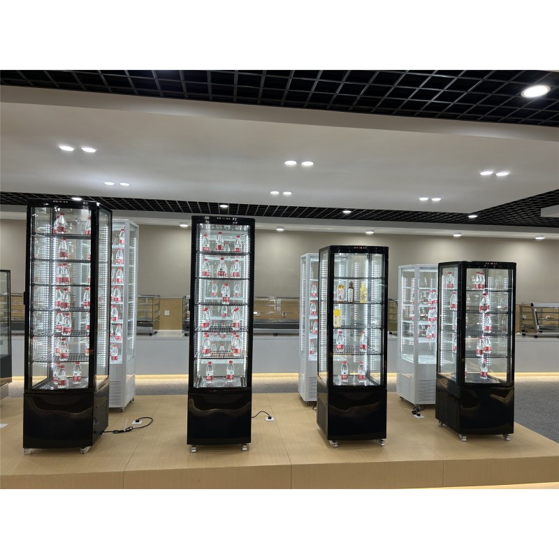 Beverage Cooler Factory - 235L Quality Upright Display
