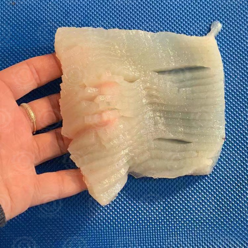 Fish Processing Machine Manufacturer - Automatic Squid Filleting