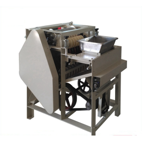 Wet Peeling Machine Manufacturer - CE Certified Almond