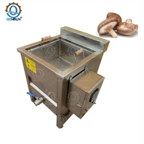 Blanching Machine Factory - Industrial Potato Washer