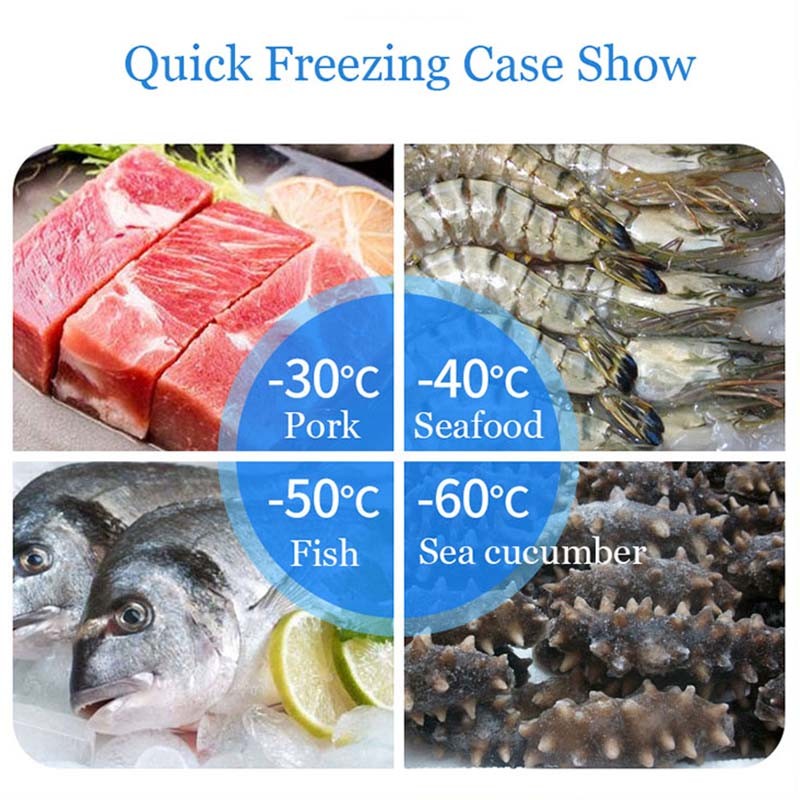 Plate Freezer Factory - Ultra Low Temperature Quick