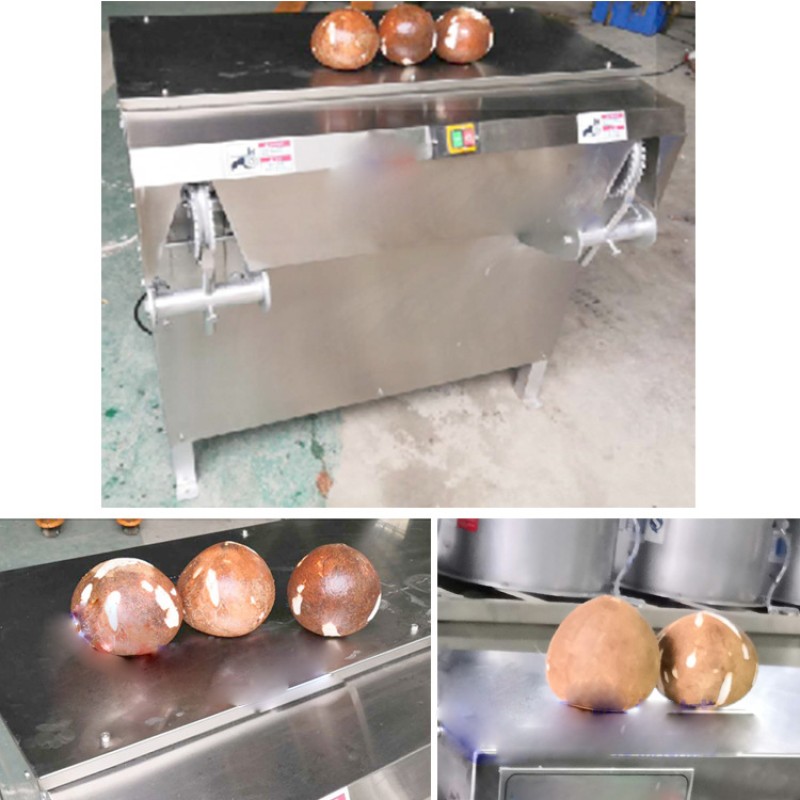 Coconut Desheller Manufacturer - Automatic Peeling Machine