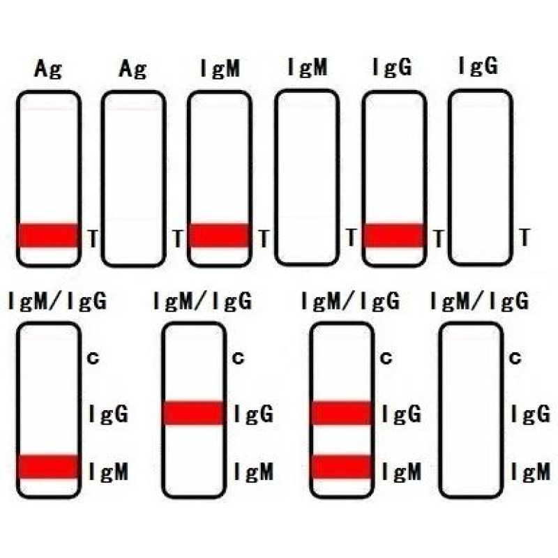 Dengue IgG IgM and NS1 Combo Test Cassette WB S P for Rapid Dengue Detection
