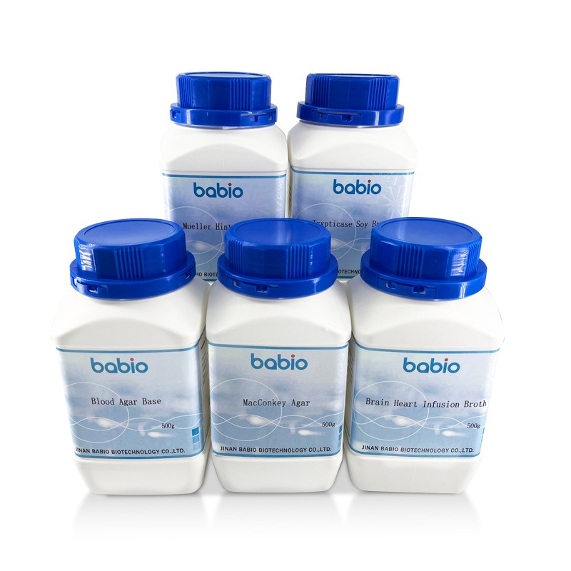 Brucella Medium Base Medium for Isolation and Counting of Staphylococcus Aureus in Food Products