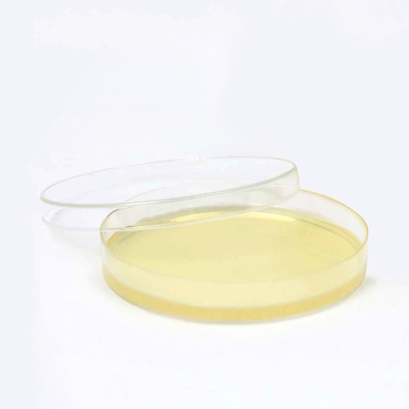 Sterile 90mm Disposable Petri Dishes Round Glass and Plastic Polypropylene for Laboratory Use