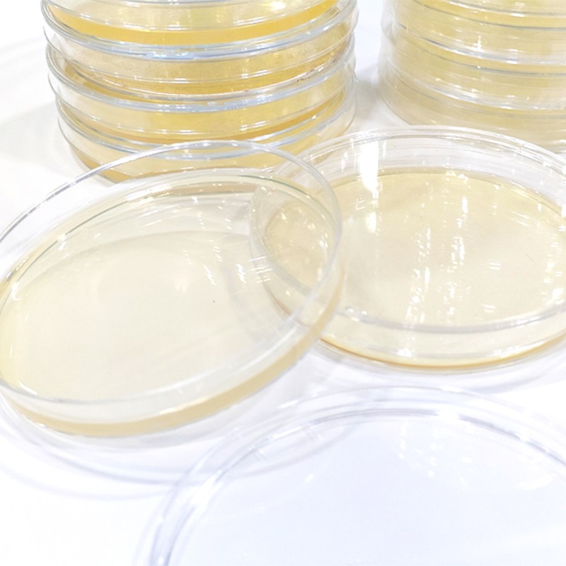 Sterile 90mm Disposable Petri Dishes Round Glass and Plastic Polypropylene for Laboratory Use