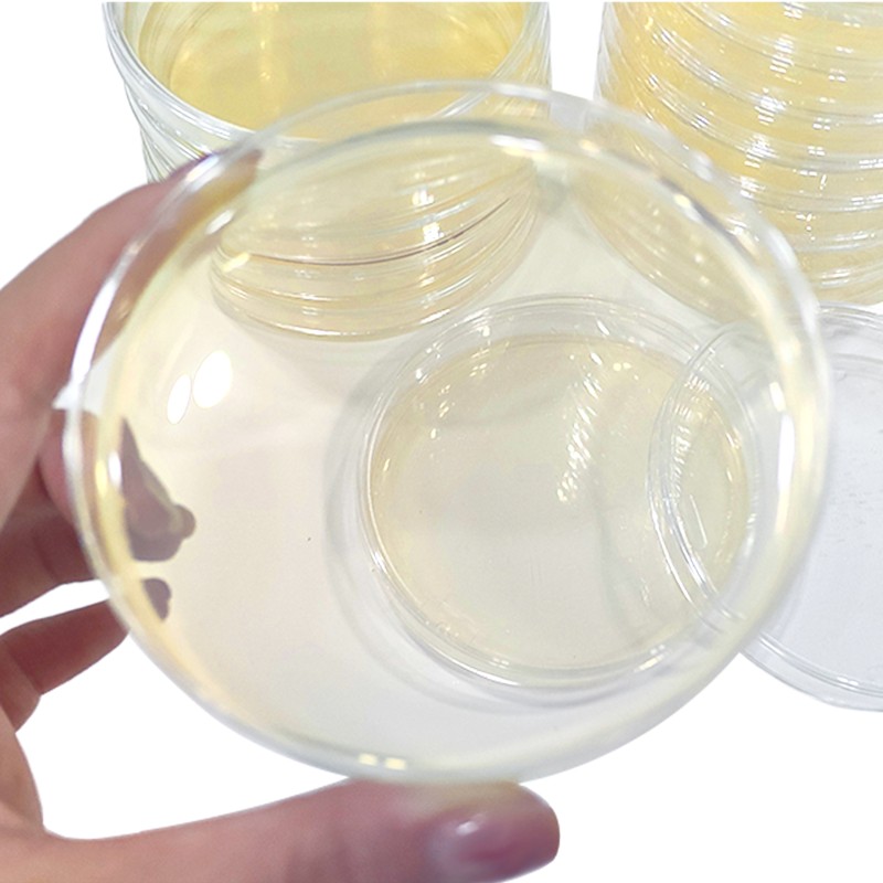 150mm X 15mm Disposable Petri Dish: Ideal for Laboratory Applications