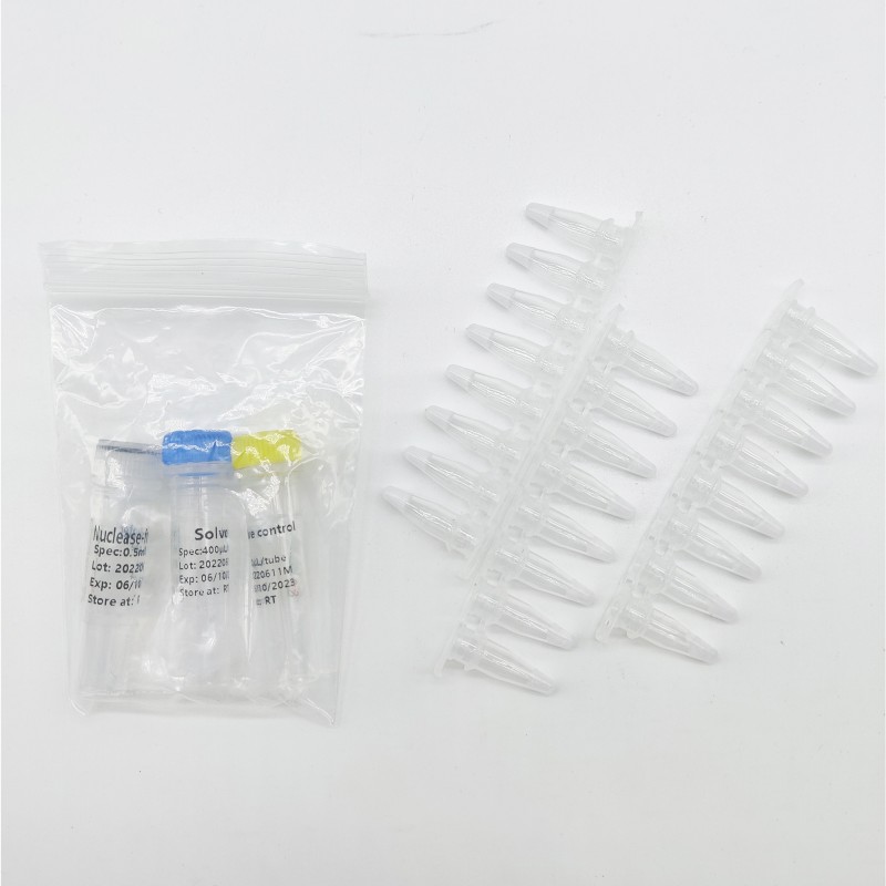 Virus Rapid Test Kit Monkeypox Pcr Reagent Test Kits Monkey Pox Antigen Detection Kit