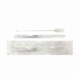 Disposable Medical Sterile Nasal Swab Plastic Nylon Material Alcohol Pad Swab Amies Stuart Cary-Blair Transport Medium Sterile