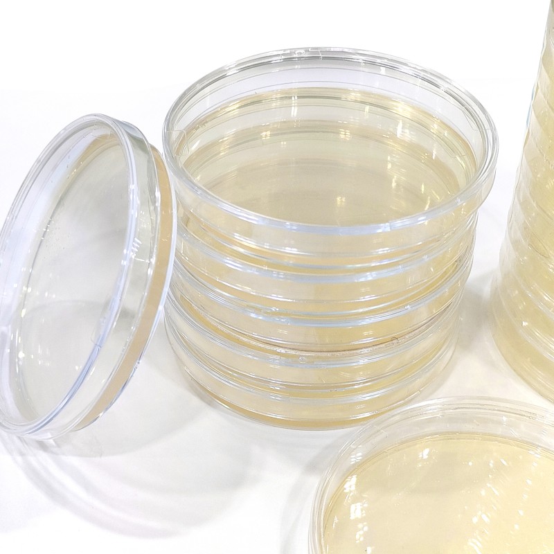 Sterile 90mm Disposable Petri Dishes Round Glass and Plastic Polypropylene for Laboratory Use