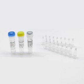 Real-time Monkeypox Pcr Kit Rapid Detection Monkey Pox Monkeypox Rapid Test Kit