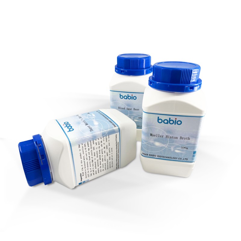 Malt Extract Agar Base Medium for Laboratory Supplies