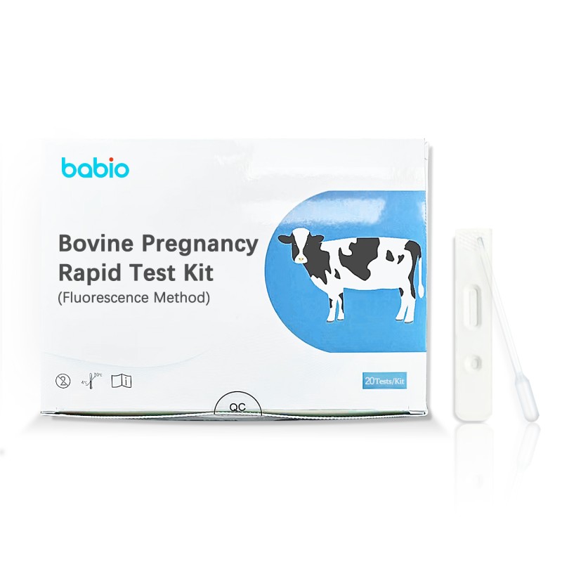 Bovine Pregnancy Rapid Test Kit Veterinary Test Strips