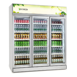 Display Freezer Manufacturer - Direct Cooling 3 Door