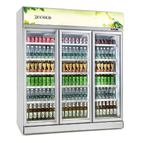 Display Freezer Manufacturer - Direct Cooling 3 Door