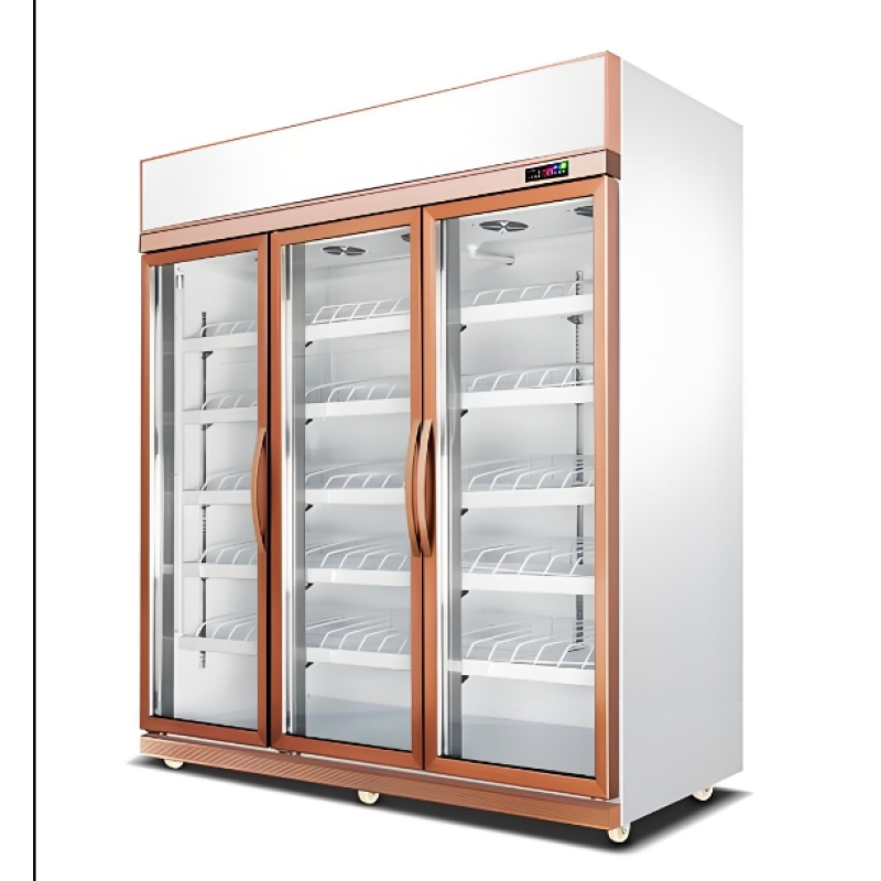Display Freezer Manufacturer - Direct Cooling 3 Door