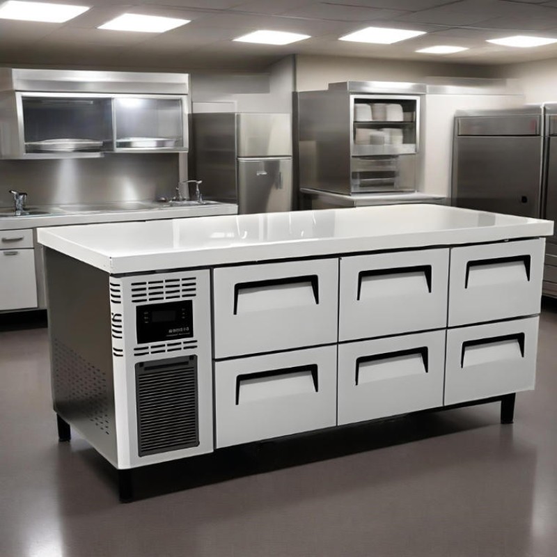 Under Counter Fridge Supplier - Stainless Steel 6 Drawers